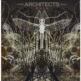 Architects: Ruins (Vinyl)