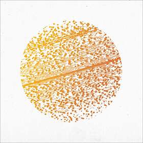 Gathering: Beautiful Distortion (Vinyl)