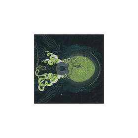 Shape Of Broad Minds: Craft Of The Lost Art CD