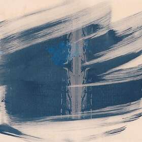 Barton Todd: Multum In Parvo CD