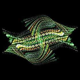 Bogus Order: Zen Brakes Vol 2 CD