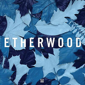 Etherwood: Blue Leaves CD