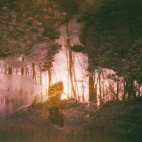 Wren: Auburn Rule CD