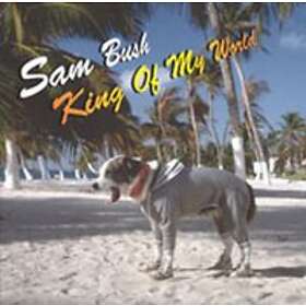 Bush Sam: King Of My World