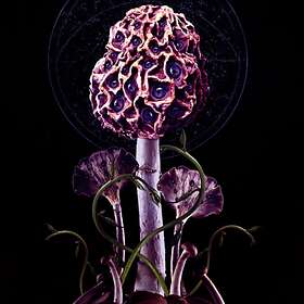 Blut Aus Nord: Hallucinogen 2019 CD