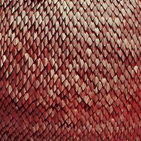 Kill The Vultures: Carnelian CD