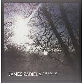 Zabiela James: The Healing (Vinyl)