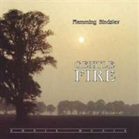 Bindslev Flemming: Gentle fire 2004