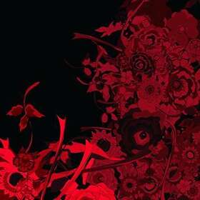 Yokota Susumu: Skintone Selection CD