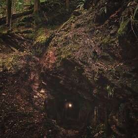 Baptists: Bloodmines