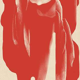 Facta: In Bloom (Vinyl)