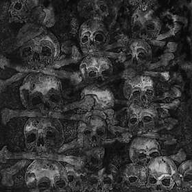 Secret: Agnus Dei