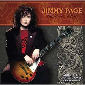 Page Jimmy: Playin' Up A Storm (Vinyl)
