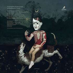 Tripmastaz: Andrewsheeny Skazki (Vinyl)