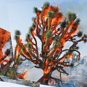 Ambarchi Oren/Kassel Jaeger & Jame: Face Tim... (Vinyl)