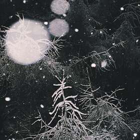 Over The Voids: Over The Voids (Vinyl)
