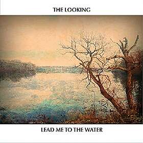 Looking: Lead Me To The Water CD