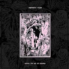 Raspberry Bulbs: Before The Age Of Mirrors CD