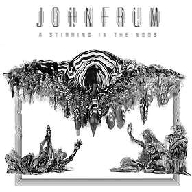 Frum John: A Stirring In The Noos (Vinyl)