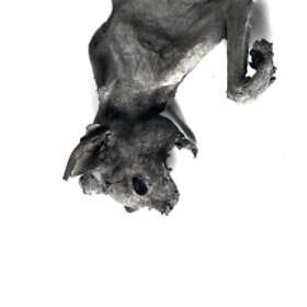 Nordvargr: Metempshychosis CD