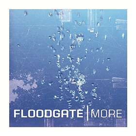 Floodgate: More