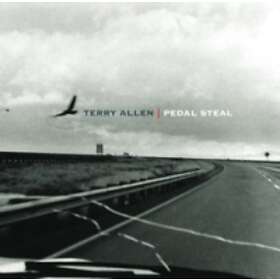 Allen Terry: Pedal Steal