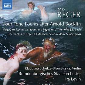 Reger Max: Orchestral Works CD