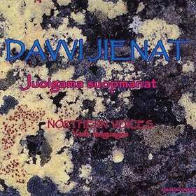 Davvi Jienat / Northern Voices CD