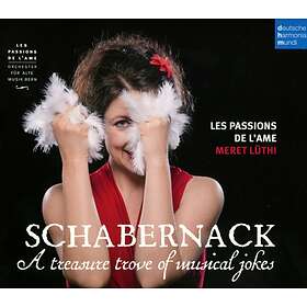 Les Passions De L'ame: Schabernack A Treasu... CD