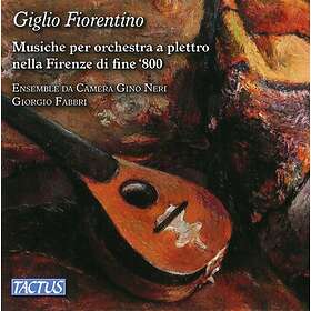 Giglio Fiorentino CD