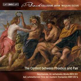 Bach: Secular Cantatas Vol 9 CD