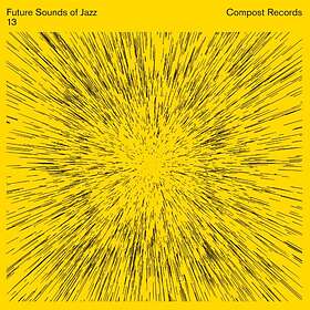 Future Sound Of Jazz 13 (Vinyl)