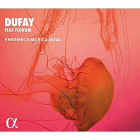 Dufay Guillaume: Flos Florum CD