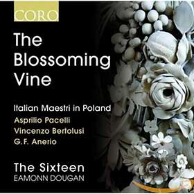 Blossoming Vine CD