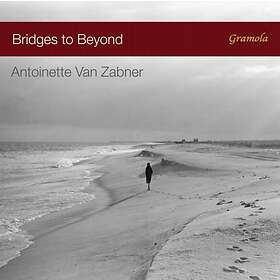 Van Zabner Antoinette: Bridges To Beyond CD