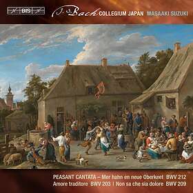 Bach: Secular Cantatas Vol 7 CD