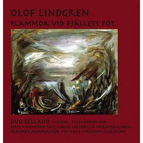 Lindgren Olof: Flammor Vid Fjällets Fot