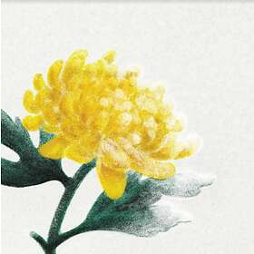 Spring Now (Vinyl)