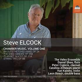 Elcock Steve: Chamber Music Vol 1 CD