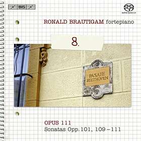 Beethoven: Solo Piano Works Vol 8 CD