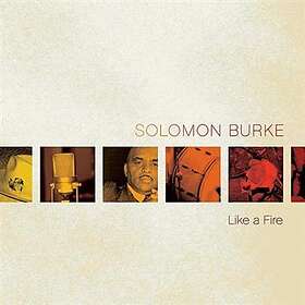 Burke Solomon: Like a fire 2008