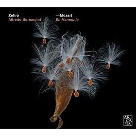 Mozart: En Harmonie