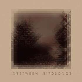 Gusset Matthias: Inbetween Birdsongs CD