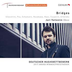 Vallentin Juri: Bridges CD