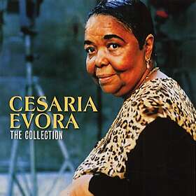 Evora Cesaria: Camden collection