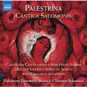 Palestrina: Canticum Salomonis
