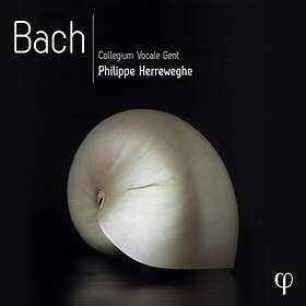 Bach: Sacred vocal works (Herreweghe) CD