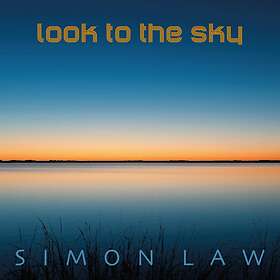 Law Simon: Look To The Sky CD