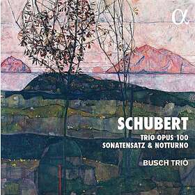 Schubert: Trio Op 100 / Sonatensatz / Notturno CD