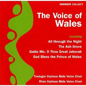 Voice Of Wales CD